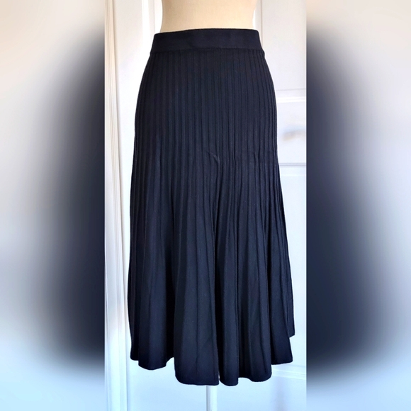 Premise Dresses & Skirts - Premise Black Pleated Skirt